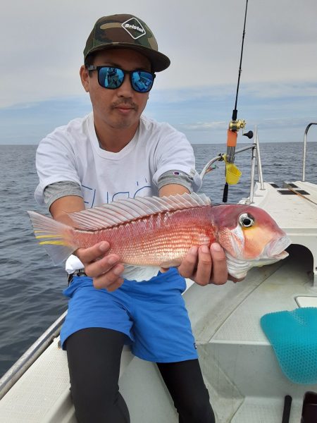 海峰 釣果