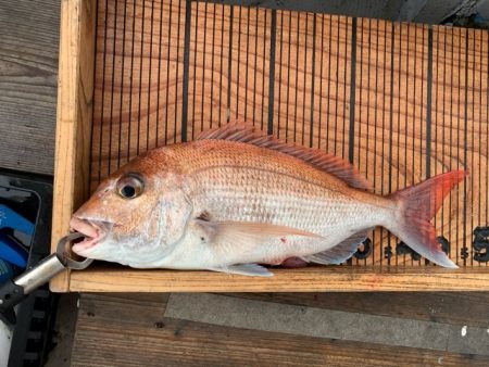 幸吉丸 釣果