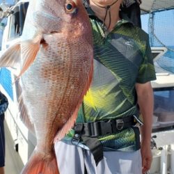 遊漁船　ニライカナイ 釣果