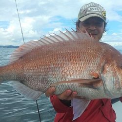 めだか屋 釣果