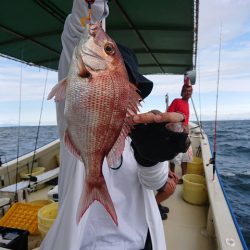 たかみ丸 釣果