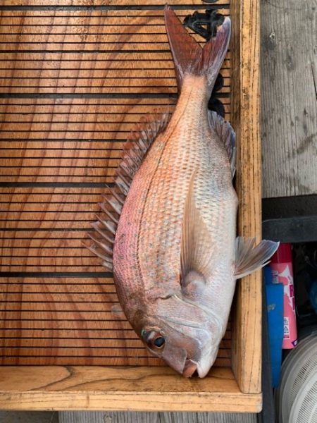 幸吉丸 釣果