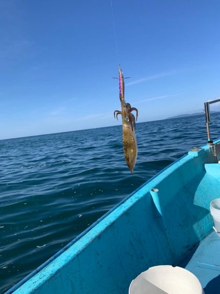 宝昌丸 釣果