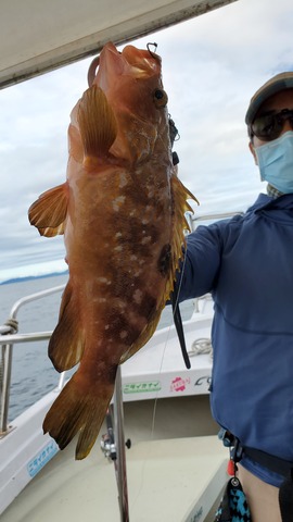 遊漁船　ニライカナイ 釣果