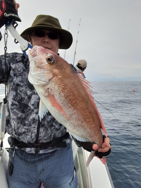 海峰 釣果