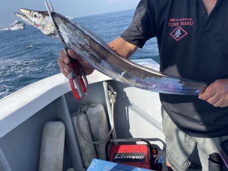 夢丸 釣果