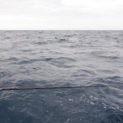 開進丸 釣果