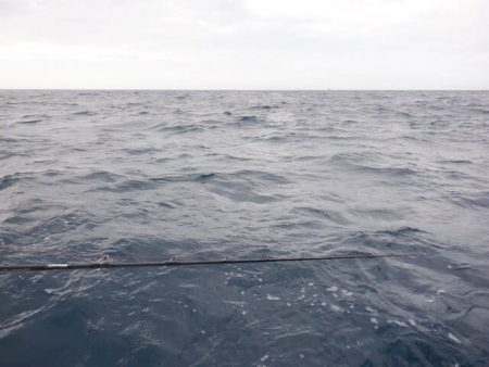 開進丸 釣果