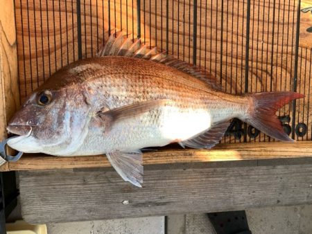 幸吉丸 釣果