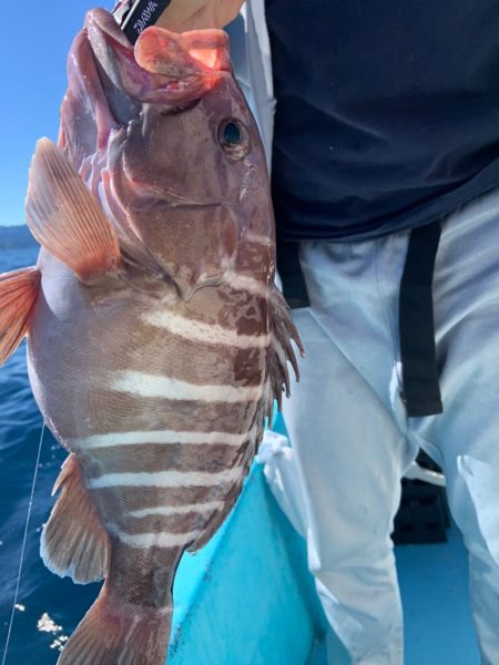 宝昌丸 釣果