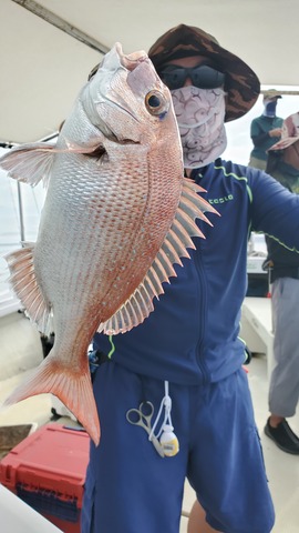 遊漁船　ニライカナイ 釣果