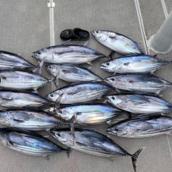 へいみつ丸 釣果