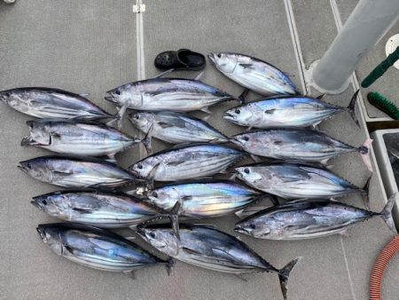 へいみつ丸 釣果