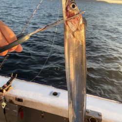 夢丸 釣果