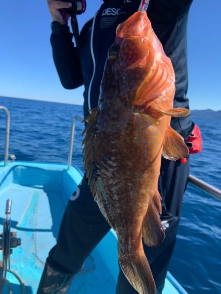 宝昌丸 釣果