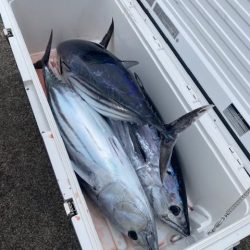 へいみつ丸 釣果