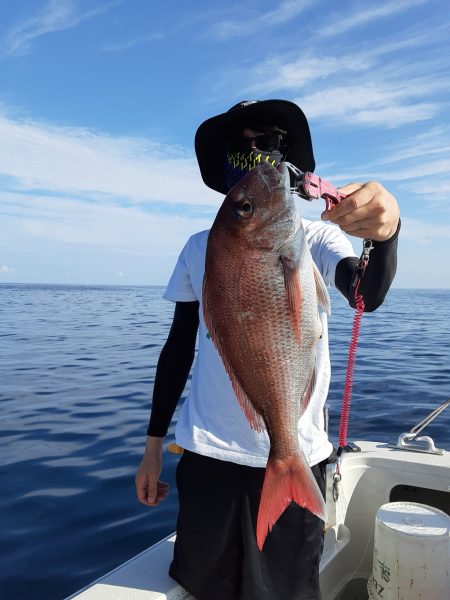 海峰 釣果