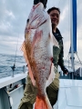 オーシャンキッズ 釣果