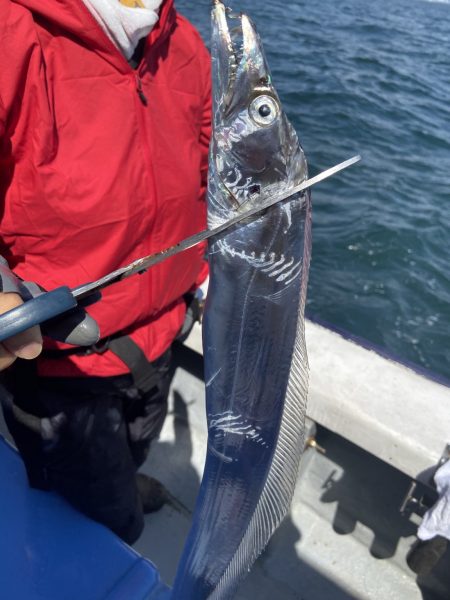 夢丸 釣果