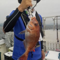 ＨＡＲＵＫＡ丸　はるかまる 釣果