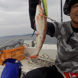 フィッシングボート空風（そらかぜ） 釣果