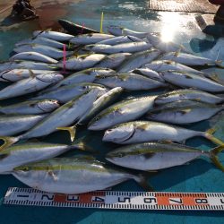 アジアマリンサービス 釣果