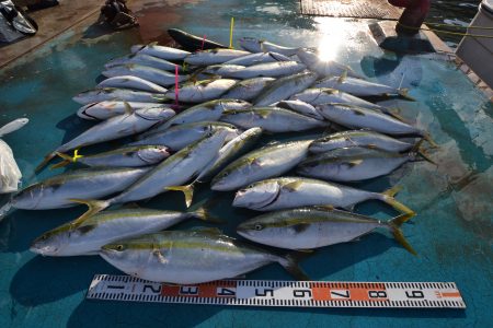 アジアマリンサービス 釣果