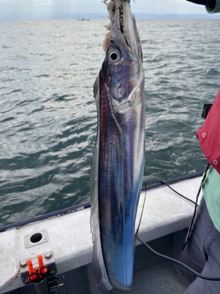 夢丸 釣果