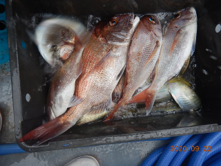 作十丸 釣果