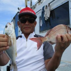 まとばや 釣果