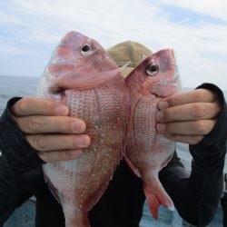 まとばや 釣果