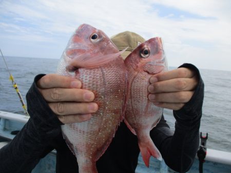 まとばや 釣果