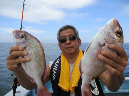 まとばや 釣果