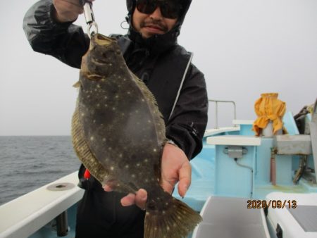 まとばや 釣果