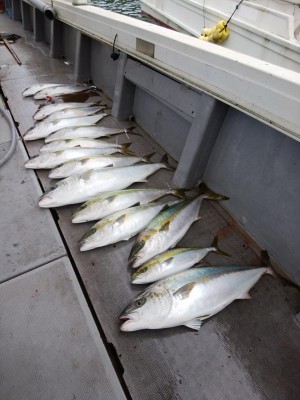 関勝丸 釣果