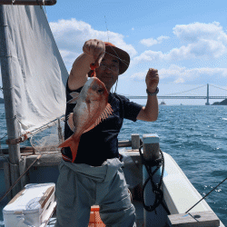 はらまる 釣果