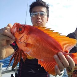 オーシャンズ　京都 釣果