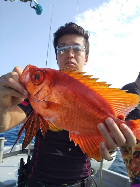 オーシャンズ　京都 釣果