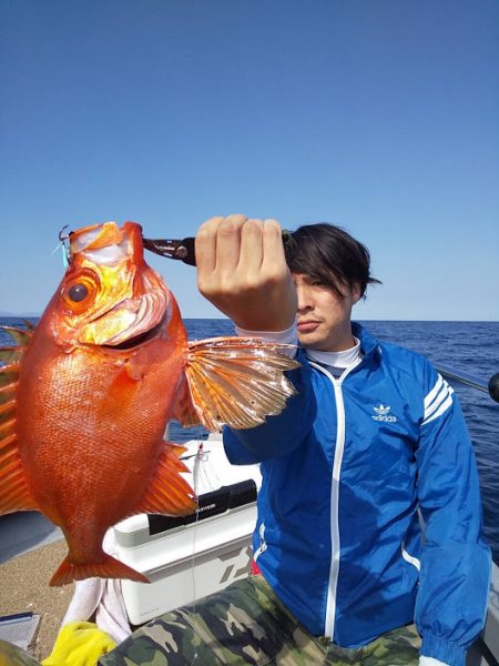 オーシャンズ　京都 釣果