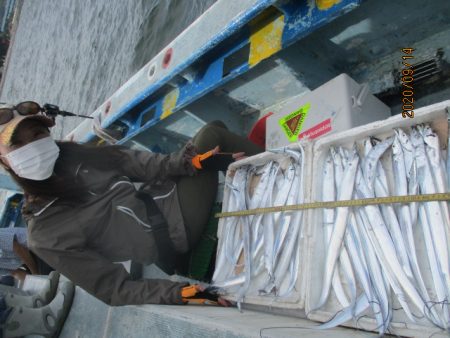 まとばや 釣果