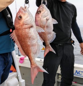 白墨丸 釣果