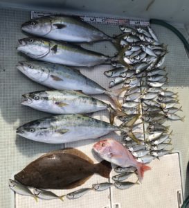 さぶろう丸 釣果