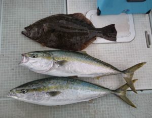 さぶろう丸 釣果