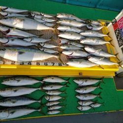 火遠理丸（ほおりまる） 釣果