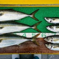 火遠理丸（ほおりまる） 釣果