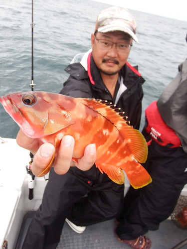 百匹屋 釣果