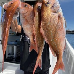 ミタチ丸 釣果