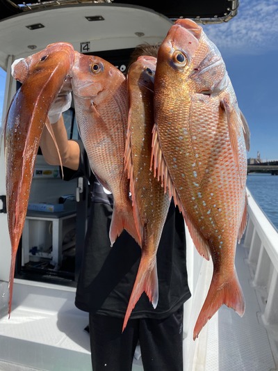 ミタチ丸 釣果