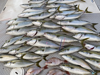 ミタチ丸 釣果