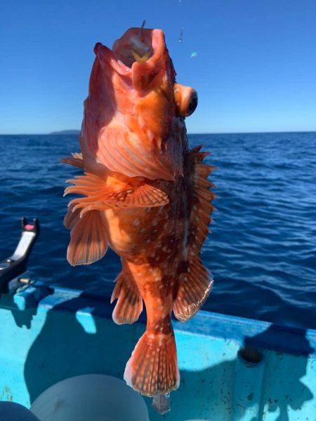 宝昌丸 釣果